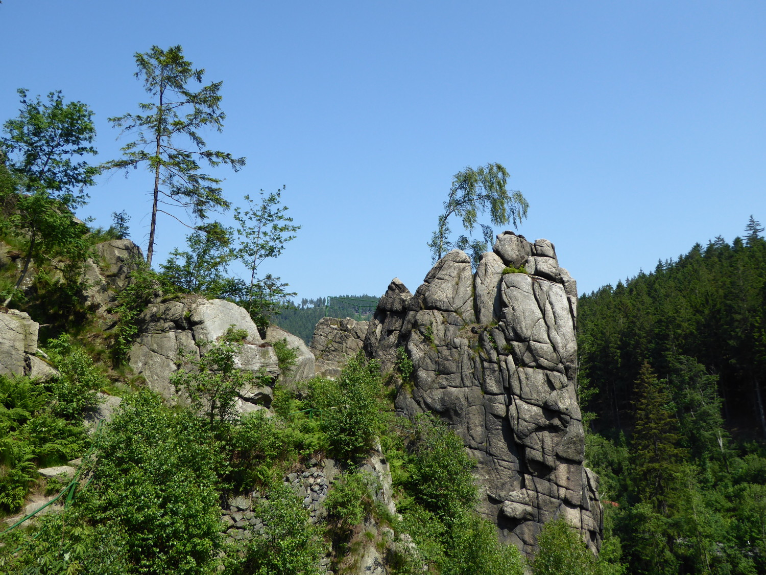 Harzstuermer_31
